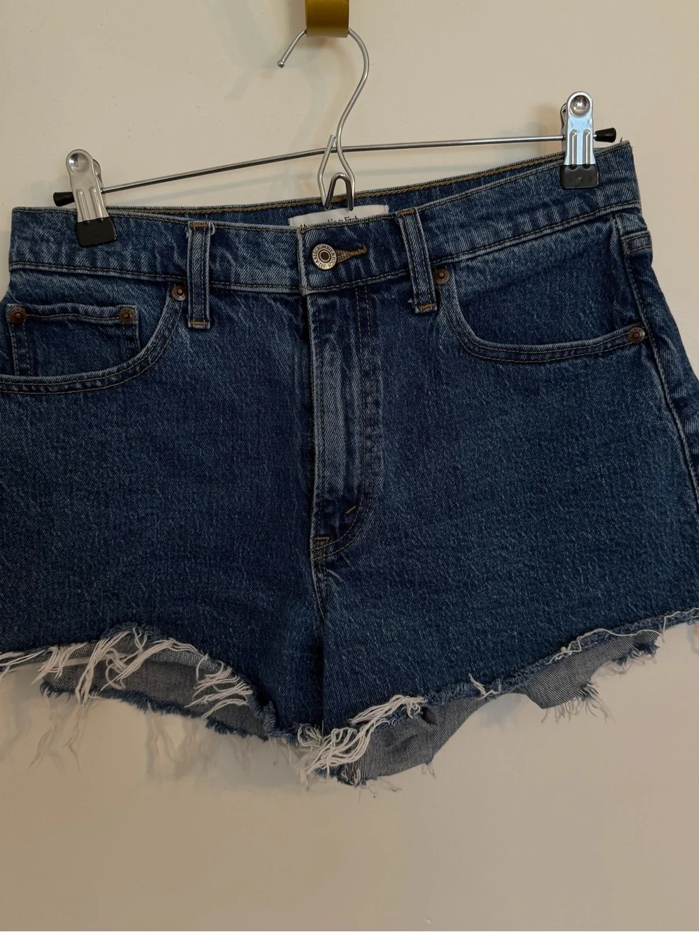 Abercrombie & Fitch | 90s Relaxed Shorts | 27 | Curve Love